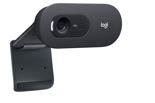 Webcam Logitech C505 (Ref. 7.8)