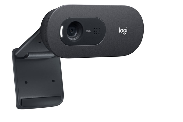 Webcam Logitech C505e (7.10)