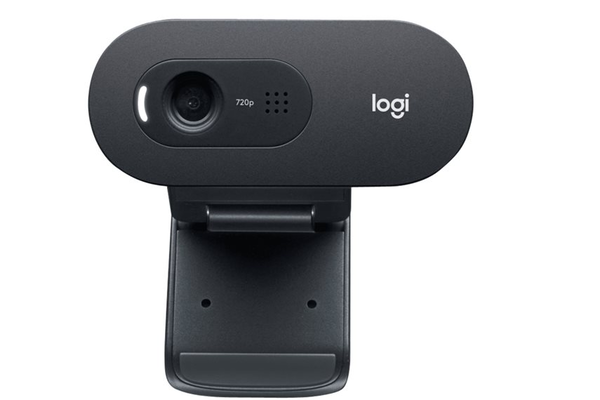 Webcam Logitech C505e (7.10)